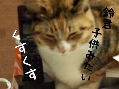 子供６.JPG