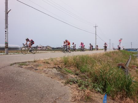 IMG_20140525_113123-ｐ.jpg