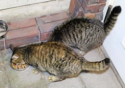 5DA_0409-25.jpg