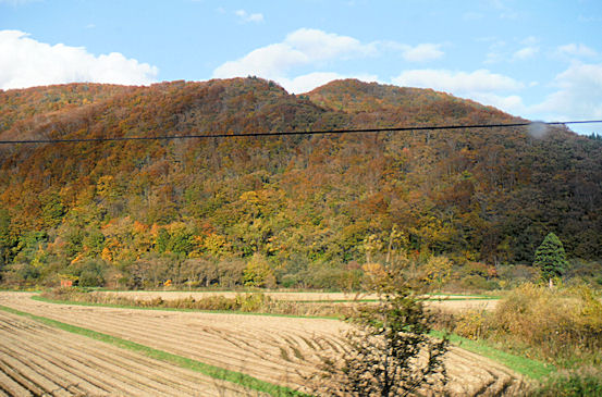 江差線沿線は紅葉が見ごろ