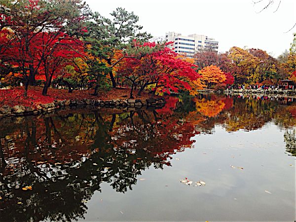 rblog-20151115183533-03.jpg