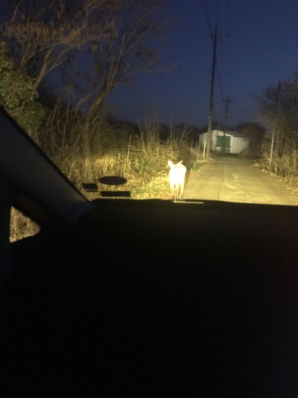 rblog-20161231175437-03.jpg