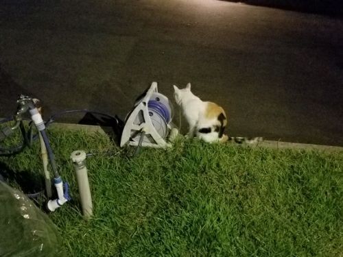 rblog-20180828004540-01.jpg