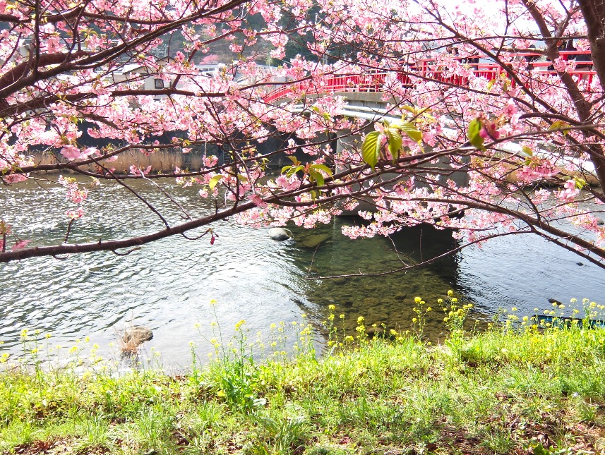 スクリーンショット 2015-03-01 10.53.02.jpg