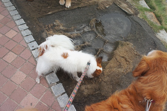 2013-1108-39.jpg