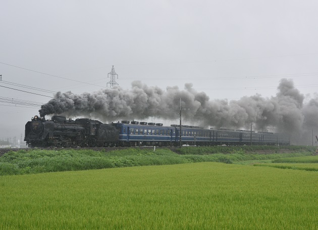 D810 1 - コピー.jpg
