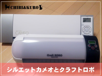 大きさの差