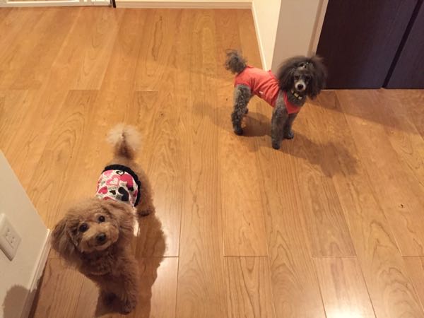 rblog-20150923210128-02.jpg