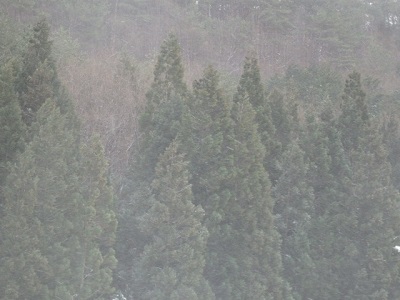 P1200005.JPG