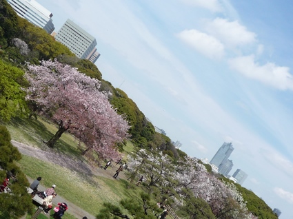 2012.04.15浜離宮庭園4.jpg