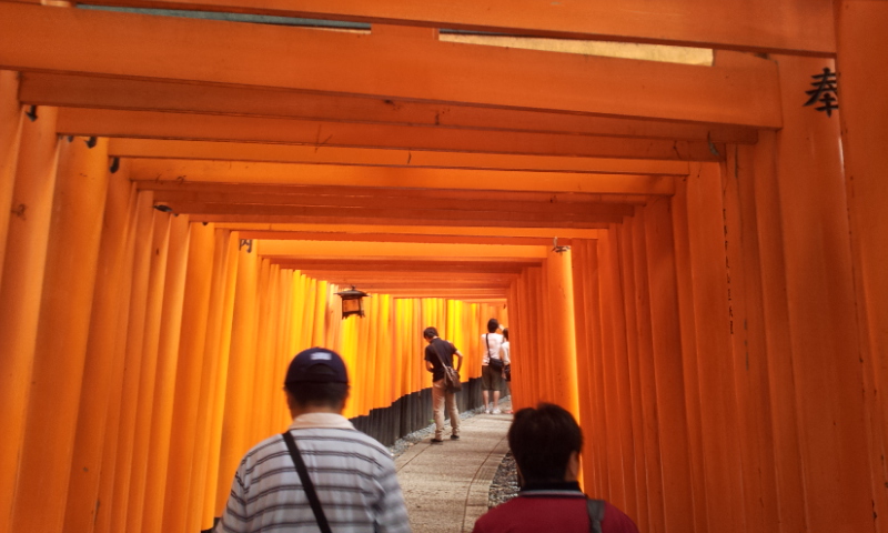 20120813_142949.jpg