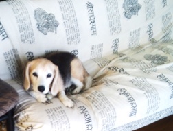 画像 018 - コピー.jpg