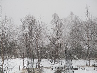 IMG_6100ss.jpg