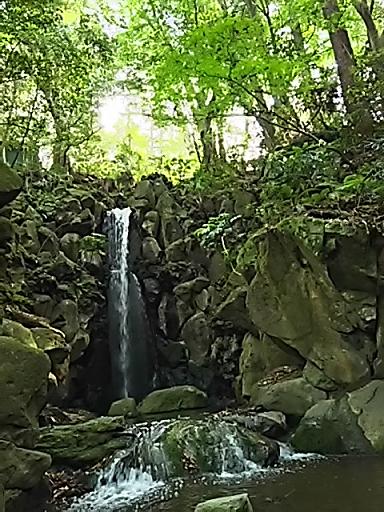 DSC_0186.JPG