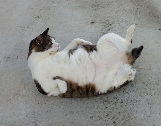 2015-04-18 08.50.12-ass.jpg