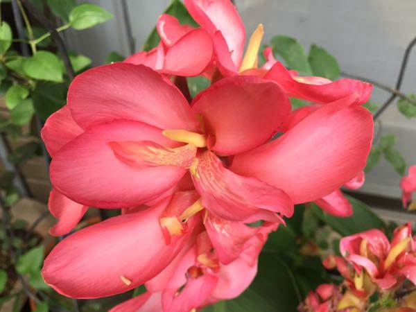 rblog-20160630185104-02.jpg