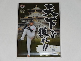 12buffalose_nishi_para