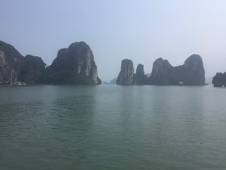 IMG_6009.jpg