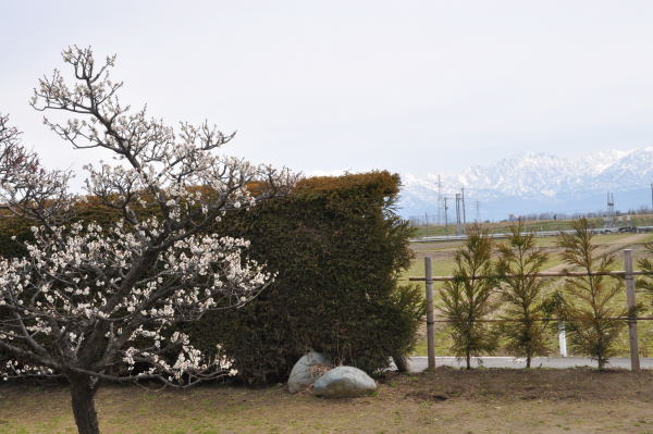 内山邸