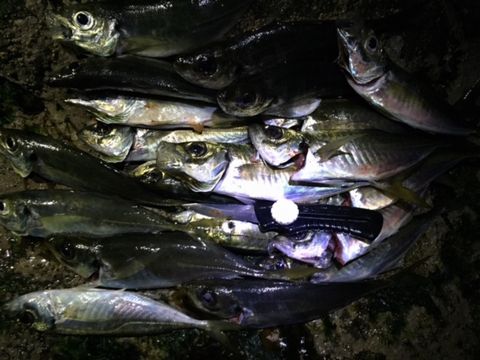 20160116-3.jpg