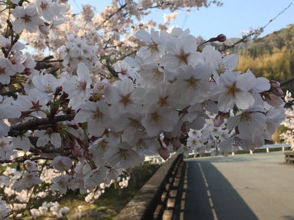 rblog-20180326160819-01.jpg