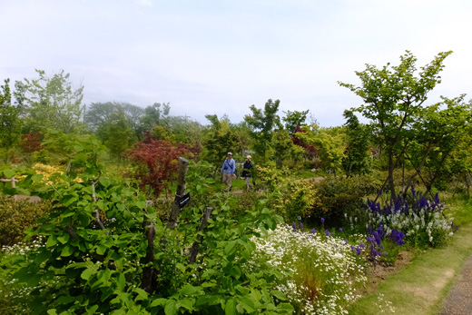 DSCF4594.jpg