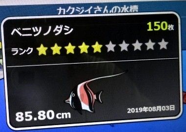 パンダの魚釣りゲーム 団塊の世代 奮闘記 楽天ブログ