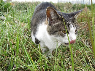 IMG_6246ss.jpg