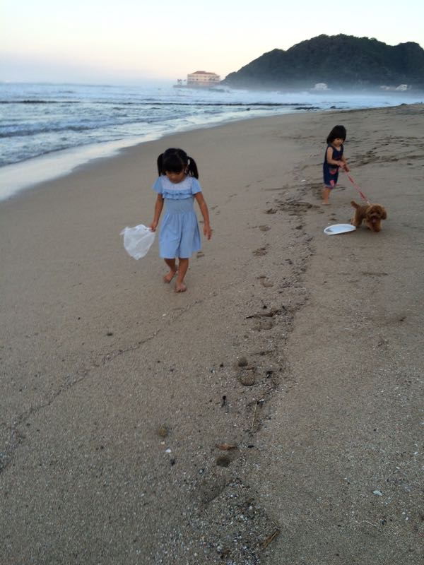 rblog-20150822064145-00.jpg