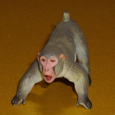 画像はイメージです