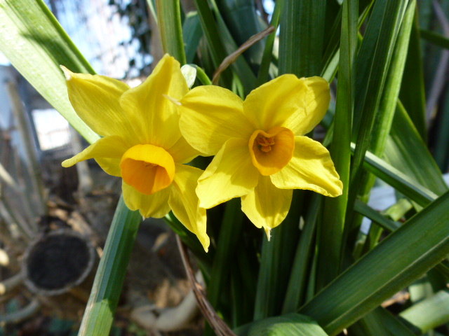 245