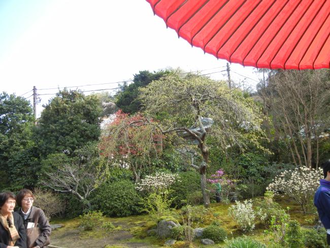 DSCN3157.JPG