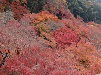 清水３.jpg