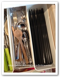 hashi2.jpg