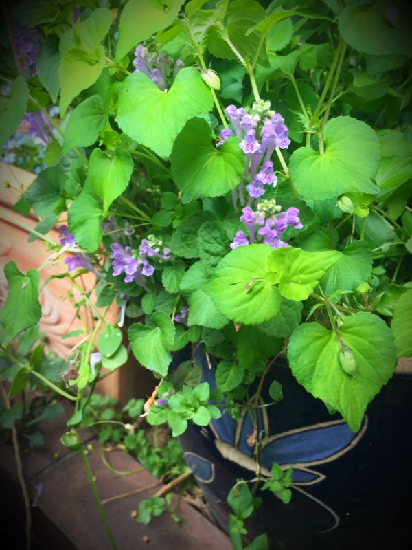 rblog-20160427175718-03.jpg