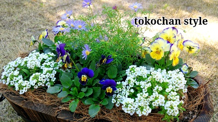 2015-03-02-15-11-11_deco.jpg