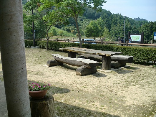 s-CIMG4915.jpg
