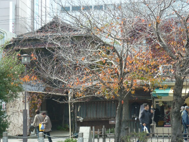 P1000220.JPG