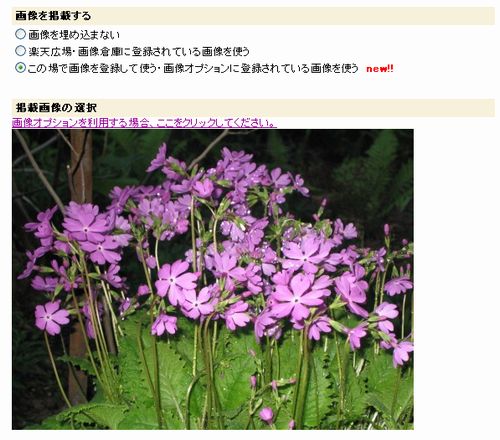 画像を掲載編集画面２