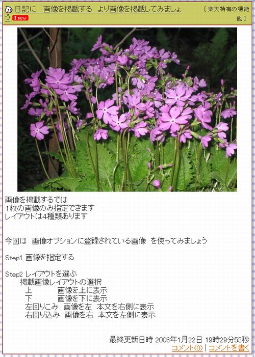 画像を掲載する　実際の表示