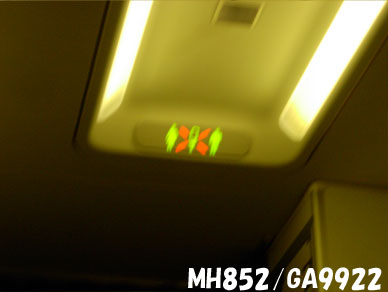 Baliemon31