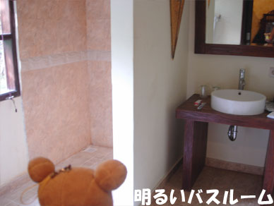 Rilakkuma37