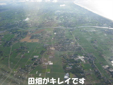 Baliemon34