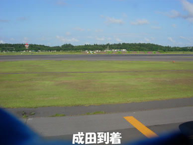 Baliemon35