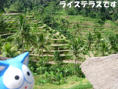 Baliemon03