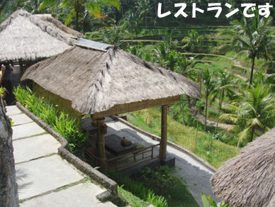 Baliemon04
