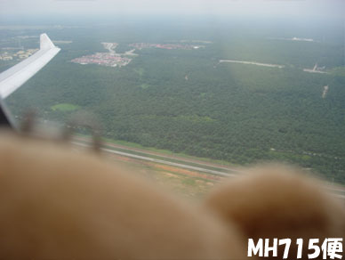 Rilakkuma26