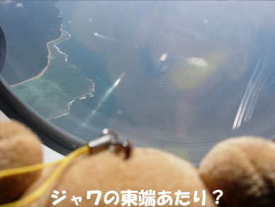 Rilakkuma31