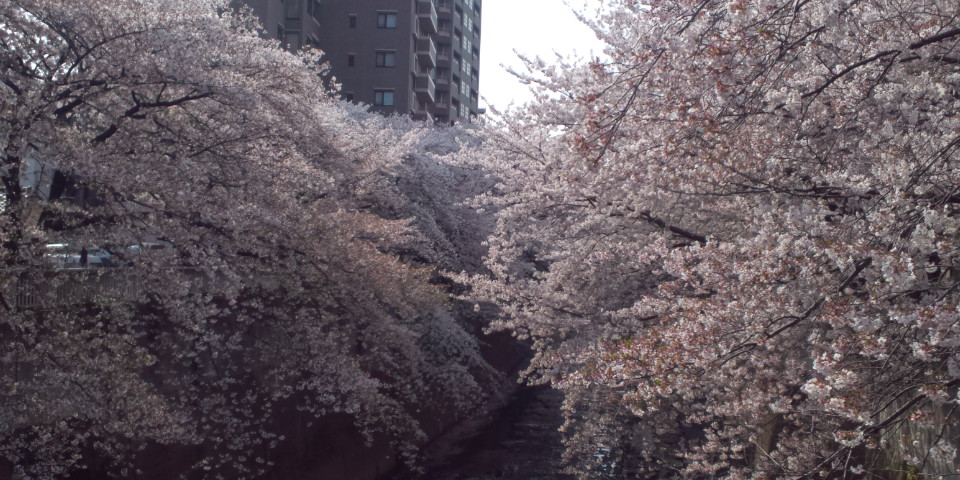 110411_143602.jpg