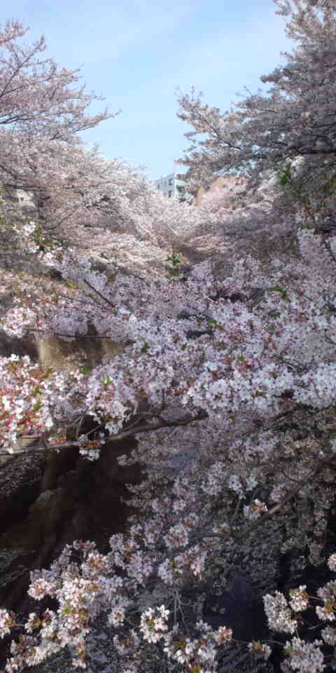 110411_143436.jpg